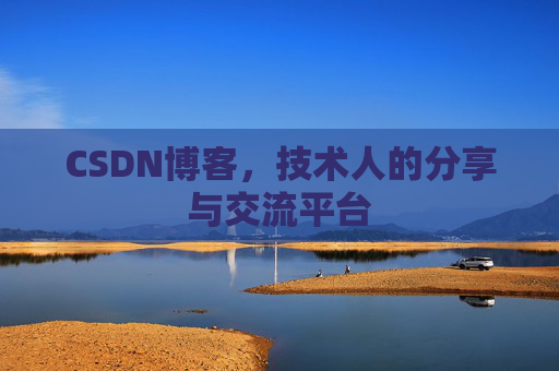 CSDN博客导出工具，便捷高效的博客内容管理工具